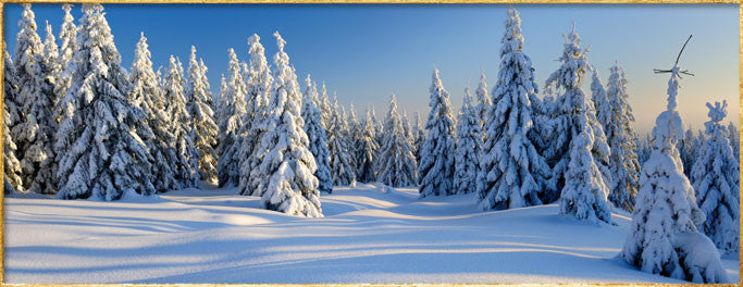 Winter Candles